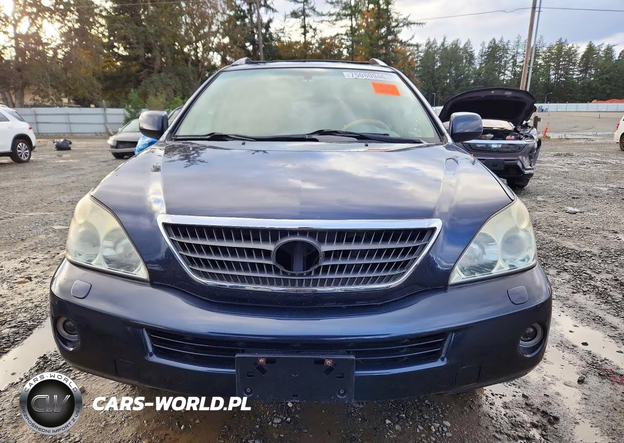2006 Lexus Rx 400 VIN:JTJHW31U660038326 - 5