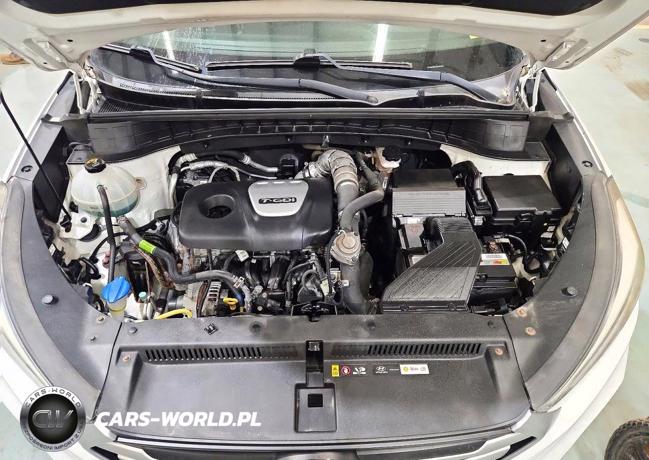 2017 Hyundai Tucson Value VIN:KM8J3CA2XHU566664 - 12