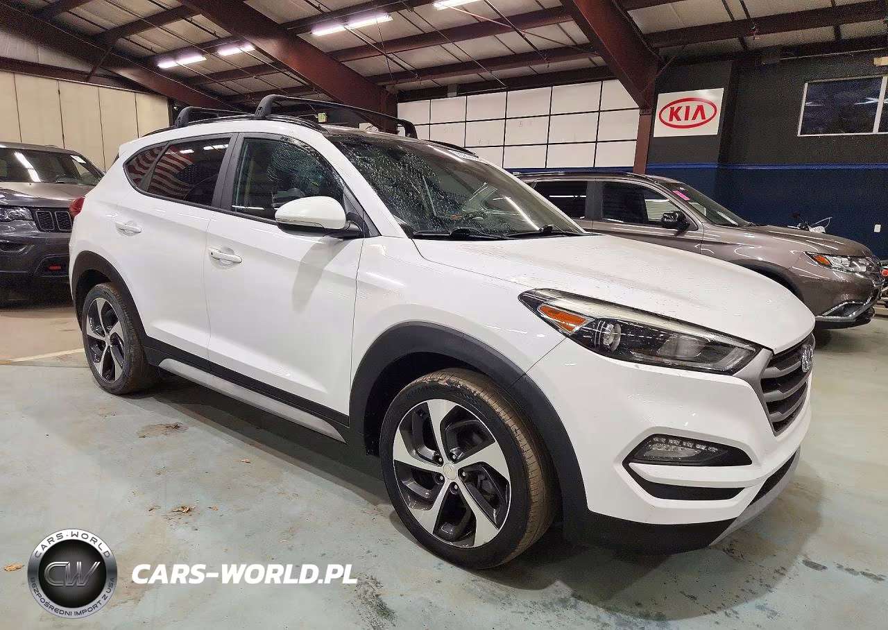 2017 Hyundai Tucson Value VIN:KM8J3CA2XHU566664 - 4