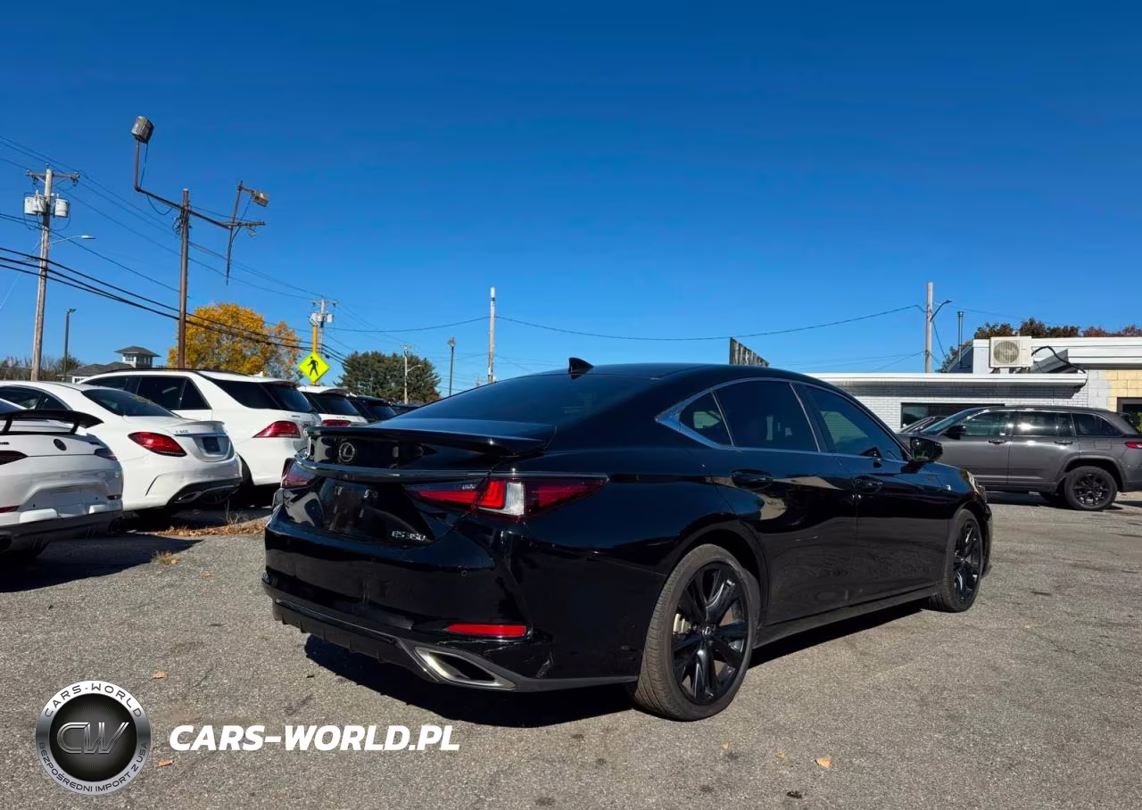 2023 Lexus Es 350 F Sport Handling VIN:58AJZ1B19PU141078 - 4