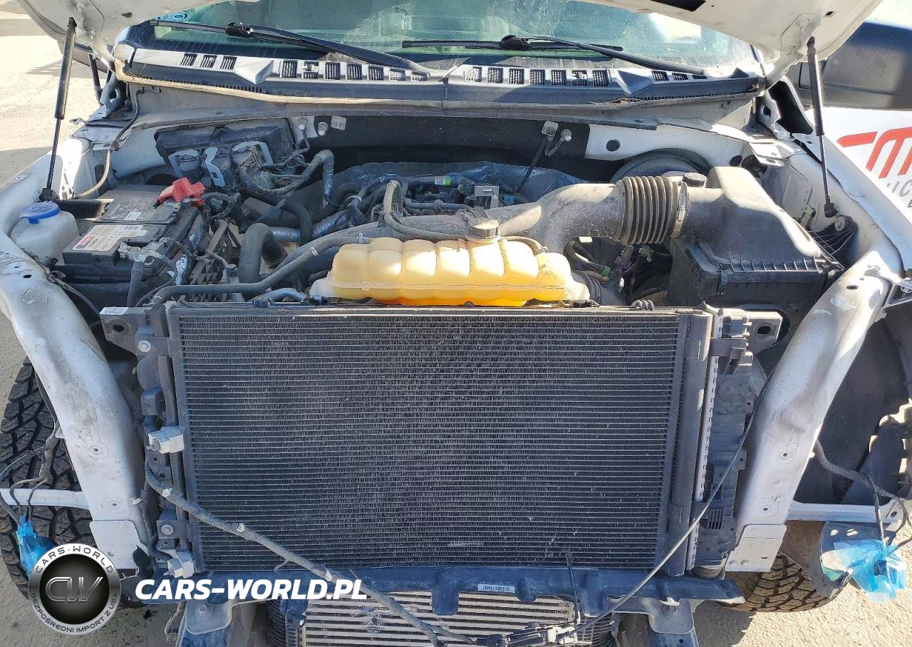 2019 Ford F150 VIN:1FTMF1CPXKKD75674 - 11