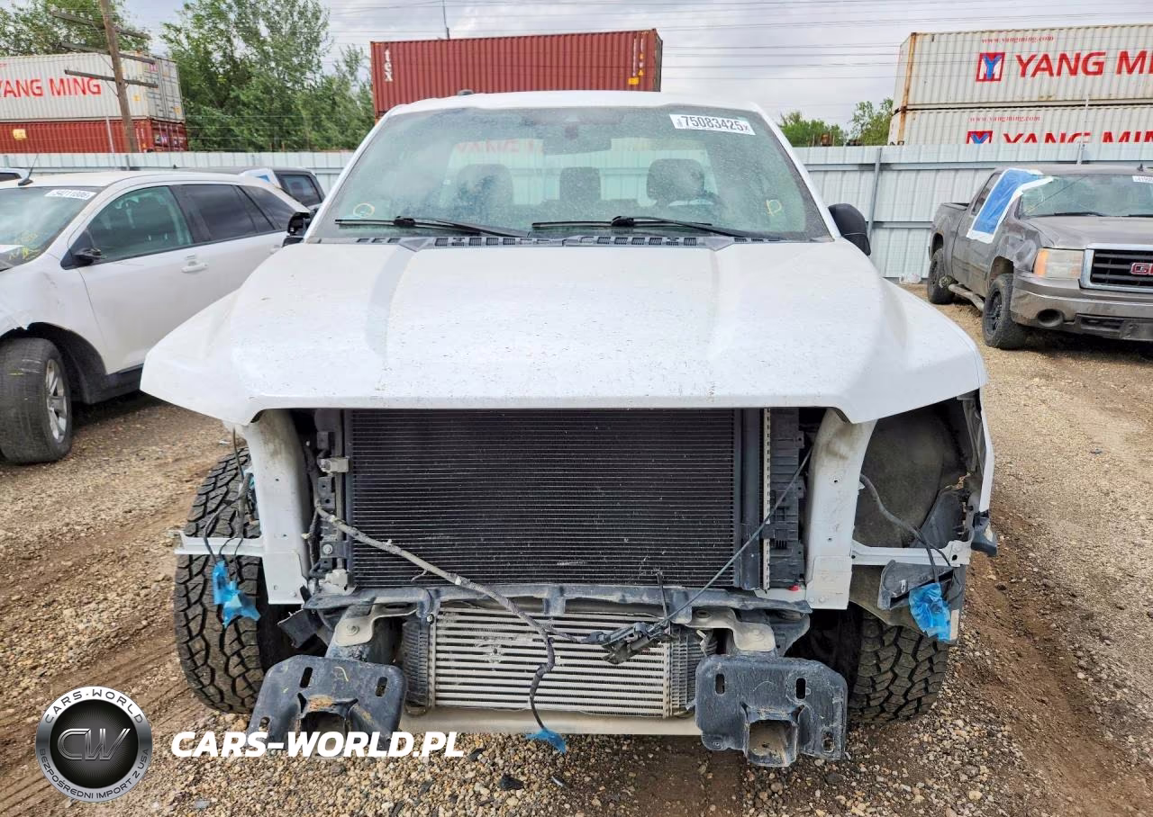 2019 Ford F150 VIN:1FTMF1CPXKKD75674 - 5