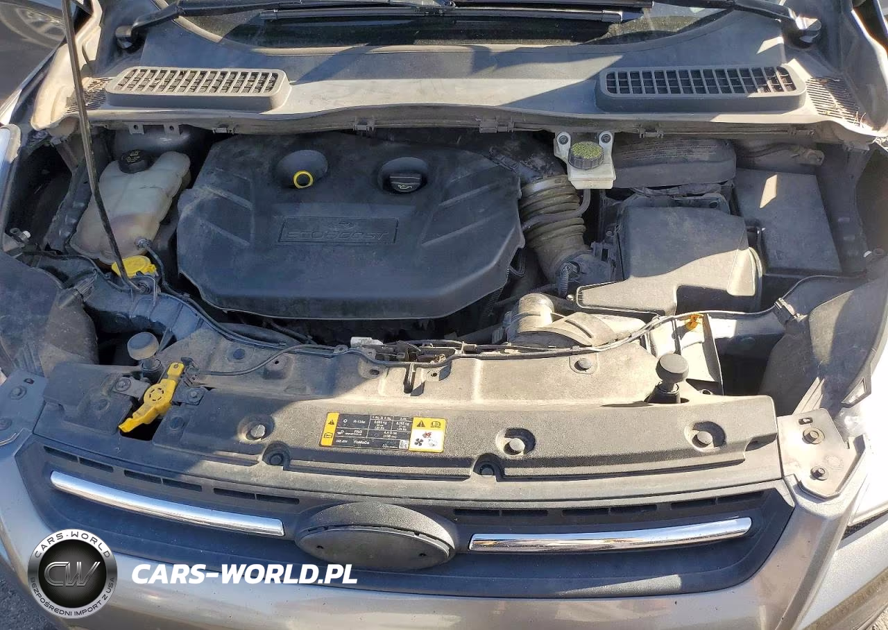 2014 Ford Escape Se VIN:1FMCU9G93EUE00561 - 11