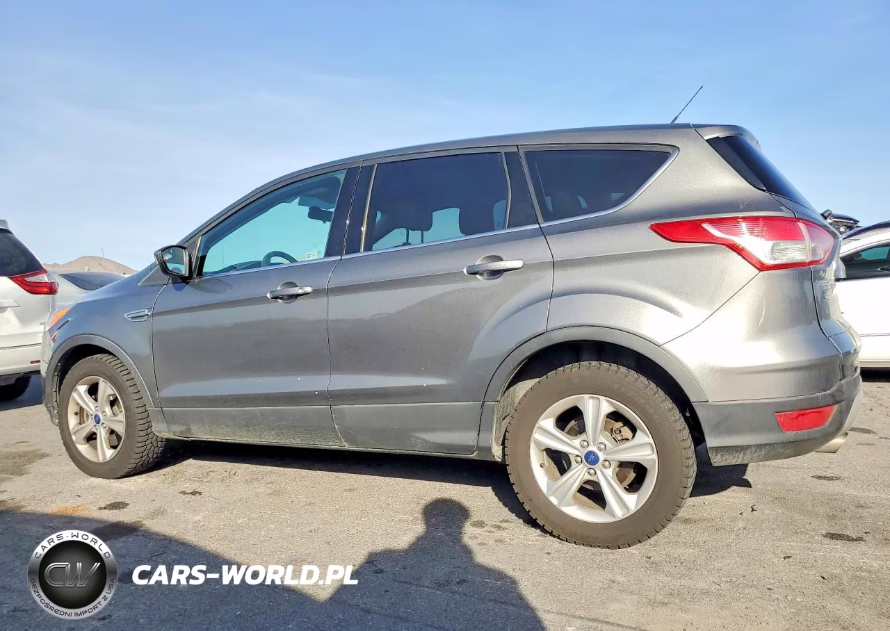 2014 Ford Escape Se VIN:1FMCU9G93EUE00561 - 2