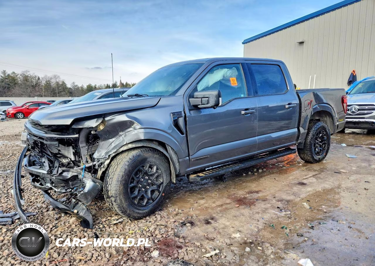 2025 Ford F150 Xlt