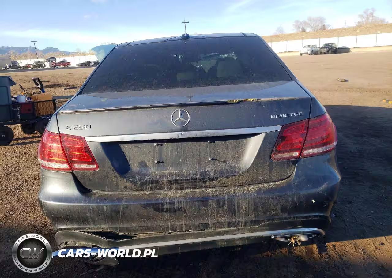 2016 Mercedes-Benz E 250 Bluetec VIN:WDDHF0EB2GB221969 - 6