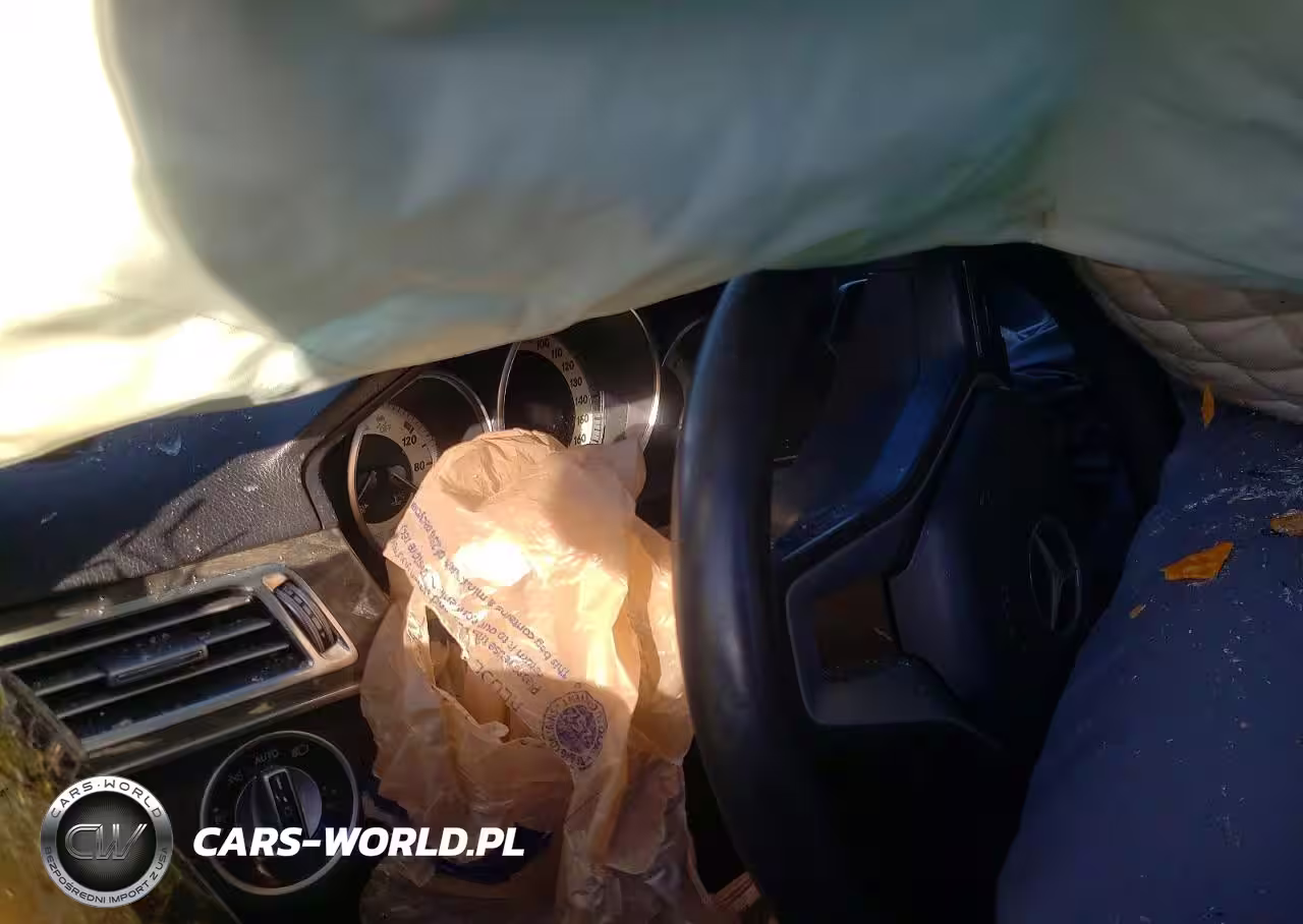 2016 Mercedes-Benz E 250 Bluetec VIN:WDDHF0EB2GB221969 - 9