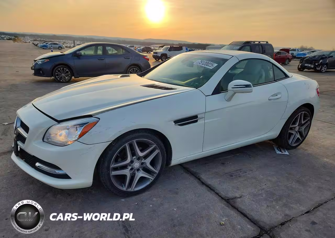 2013 Mercedes-Benz Slk 250
