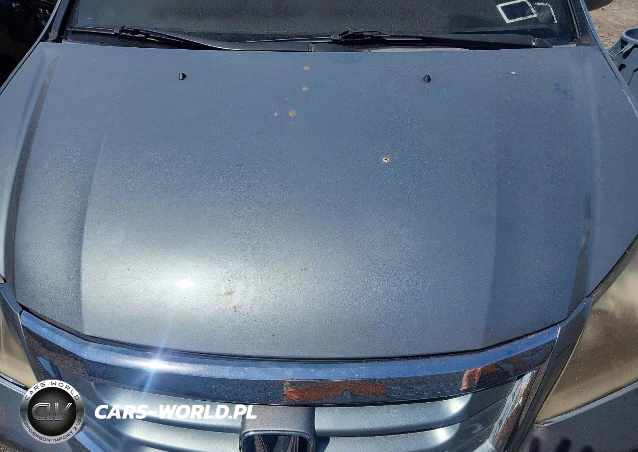 2008 Honda Odyssey Exl VIN:5FNRL38618B001387 - 12