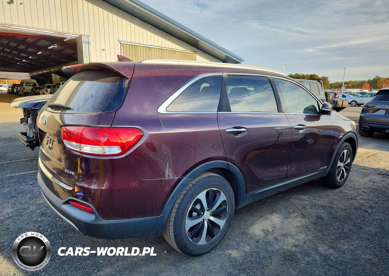 2016 Kia Sorento VIN:5XYPHDA51GG133427 - 3