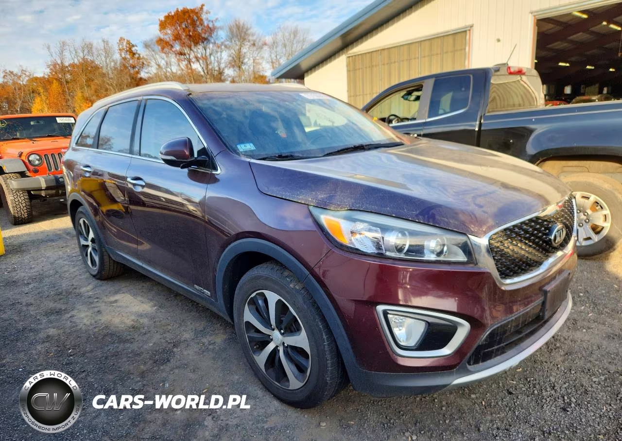 2016 Kia Sorento VIN:5XYPHDA51GG133427 - 4