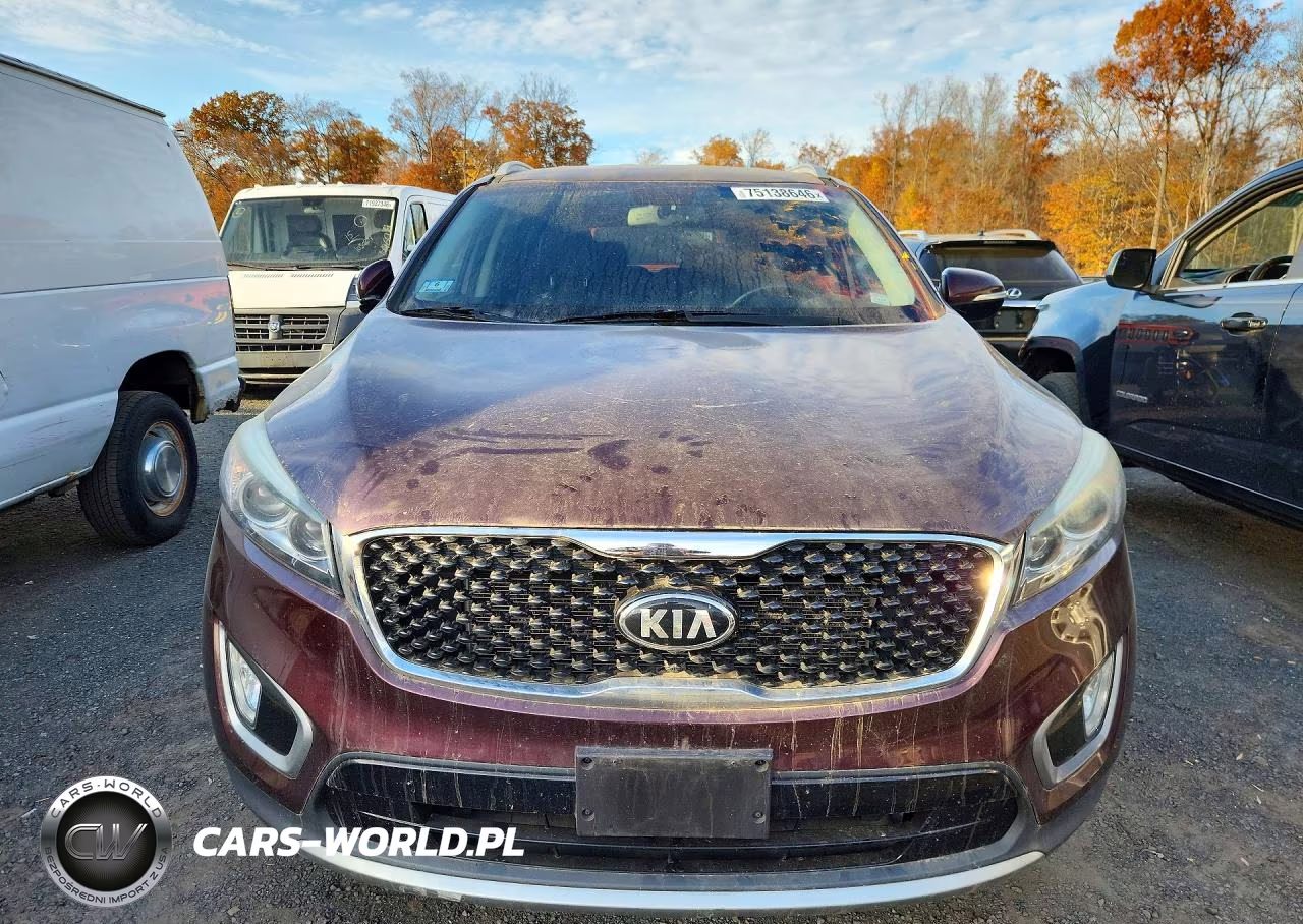 2016 Kia Sorento VIN:5XYPHDA51GG133427 - 5