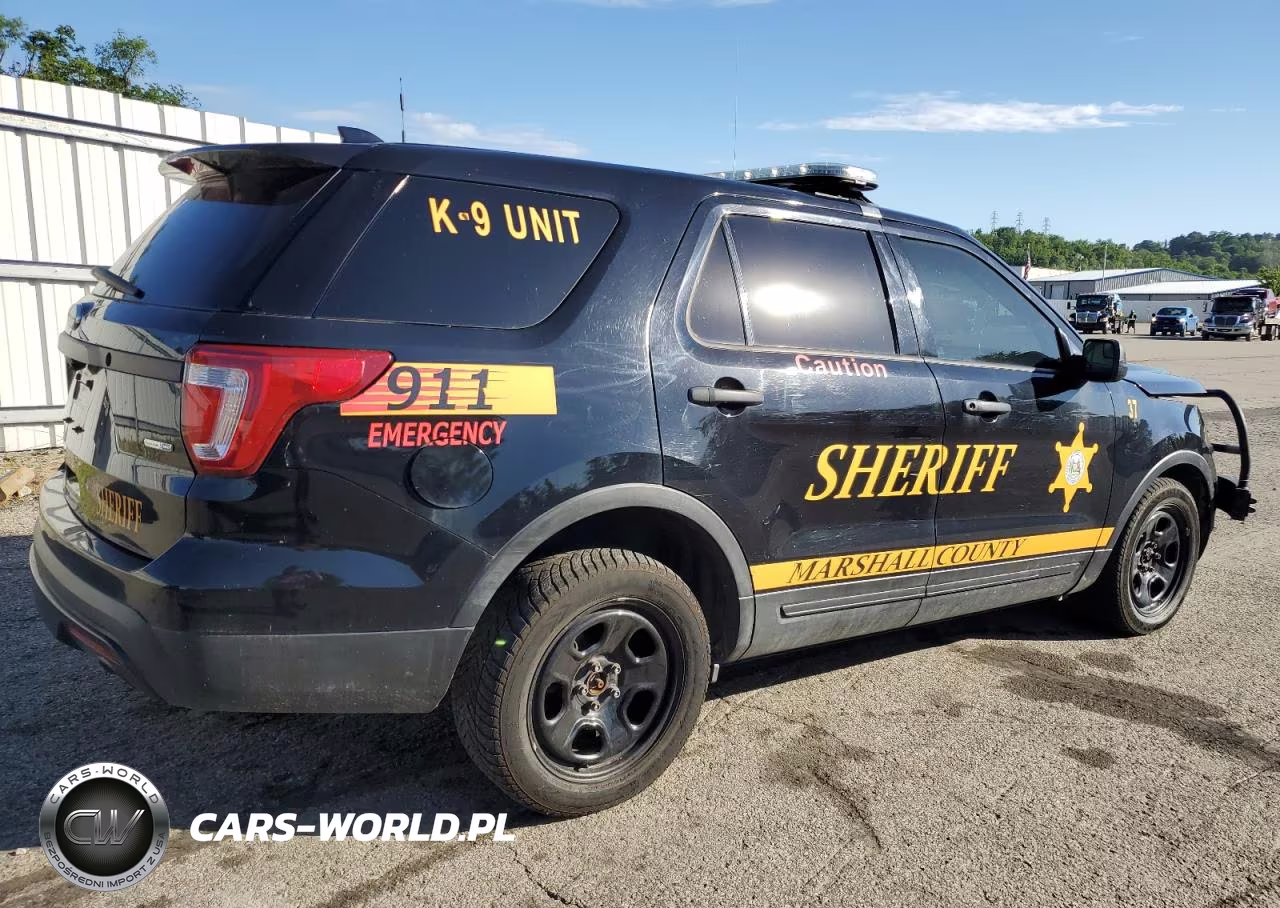 2016 Ford Explorer Police Interceptor VIN:1FM5K8AR2GGB54069 - 3