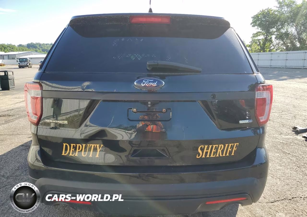 2016 Ford Explorer Police Interceptor VIN:1FM5K8AR2GGB54069 - 6
