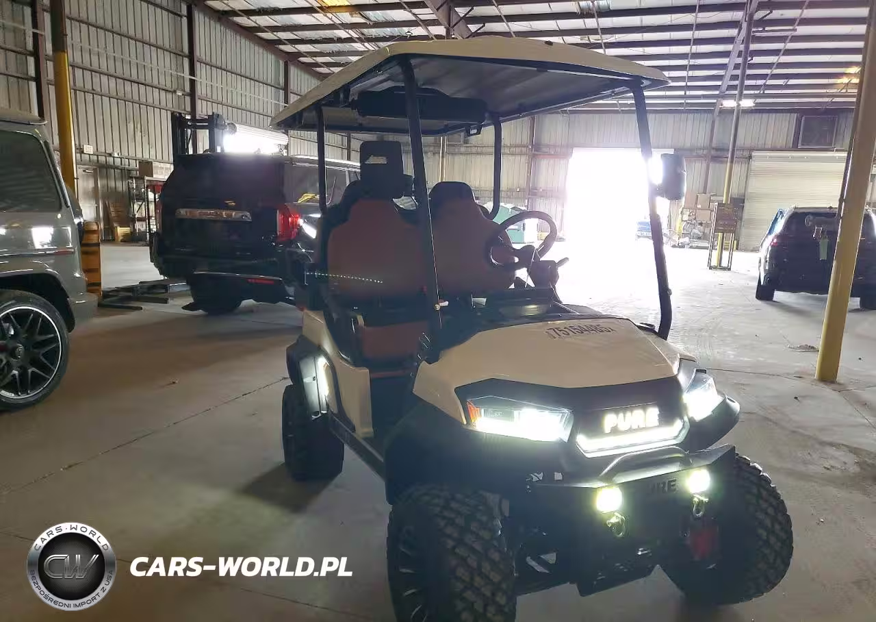 2024 Icon Ev Pure 4 Golf Cart