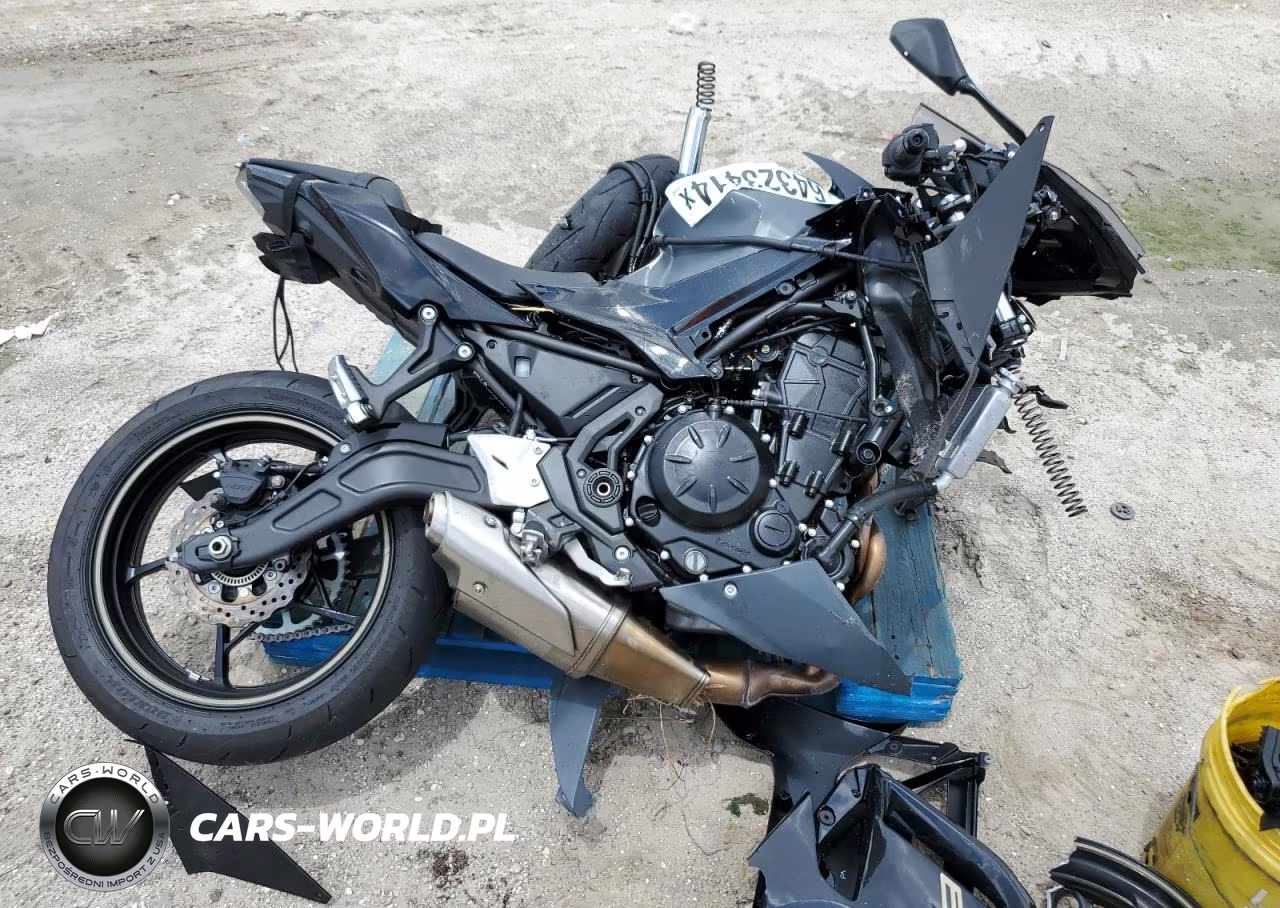 2024 Kawasaki Ex650 P – zdjęcie 1 z 20