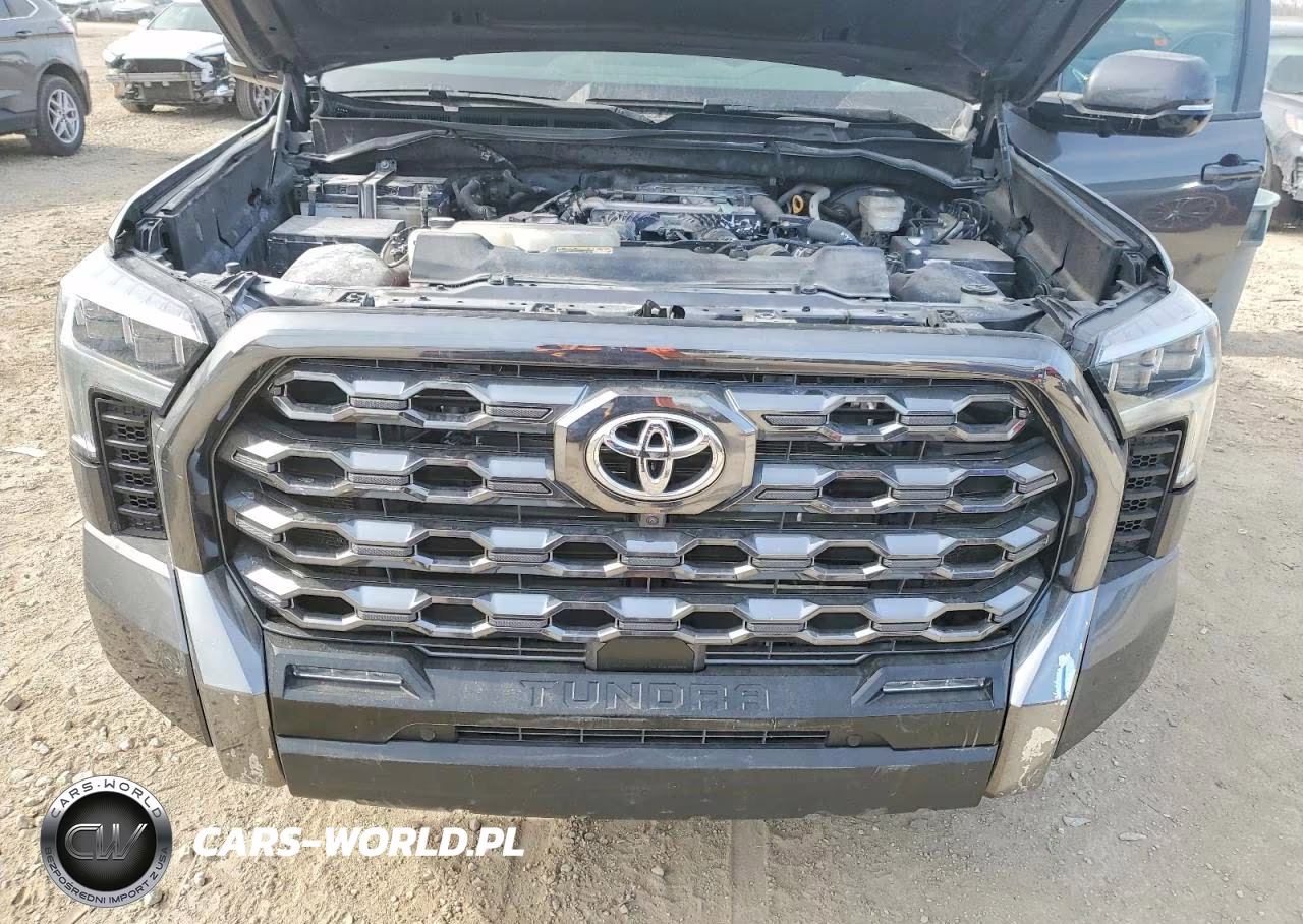 2024 Toyota Tundra Crewmax Platinum VIN:5TFNA5DBXRX148253 - 11