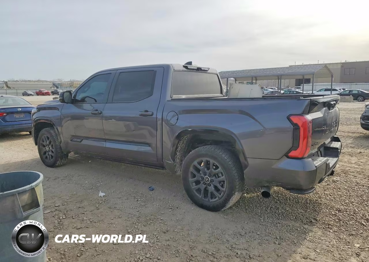 2024 Toyota Tundra Crewmax Platinum VIN:5TFNA5DBXRX148253 - 2