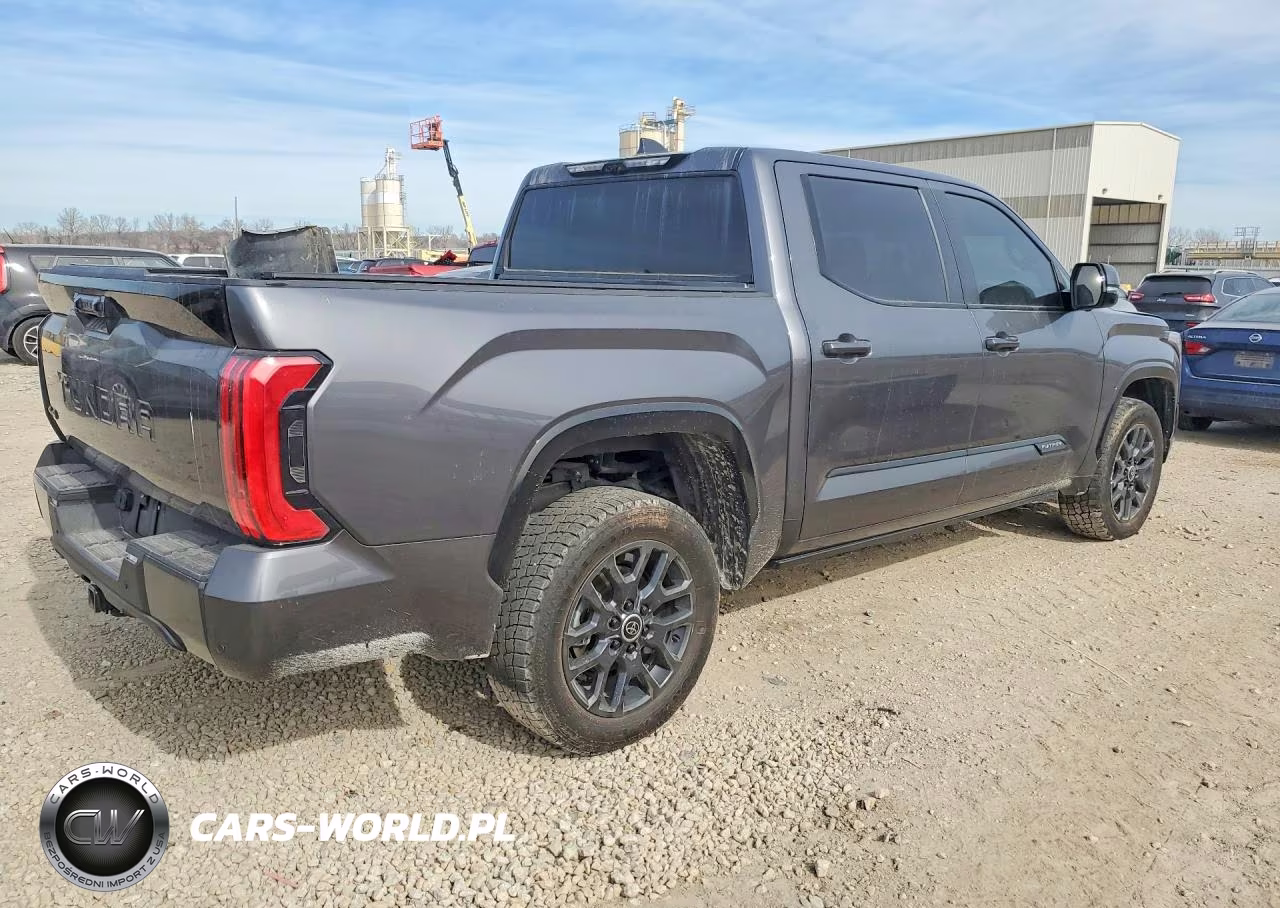 2024 Toyota Tundra Crewmax Platinum VIN:5TFNA5DBXRX148253 - 3