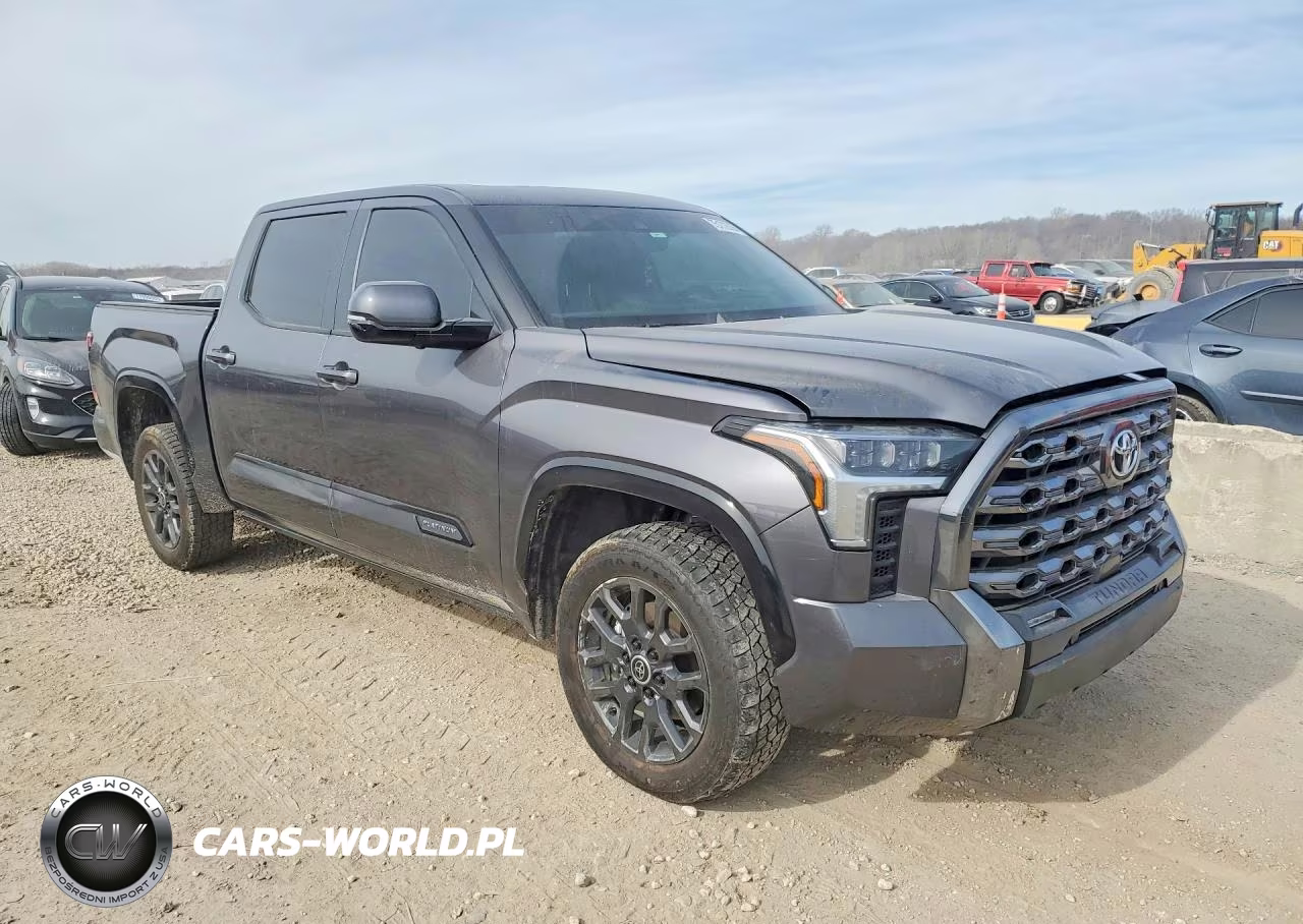 2024 Toyota Tundra Crewmax Platinum VIN:5TFNA5DBXRX148253 - 4