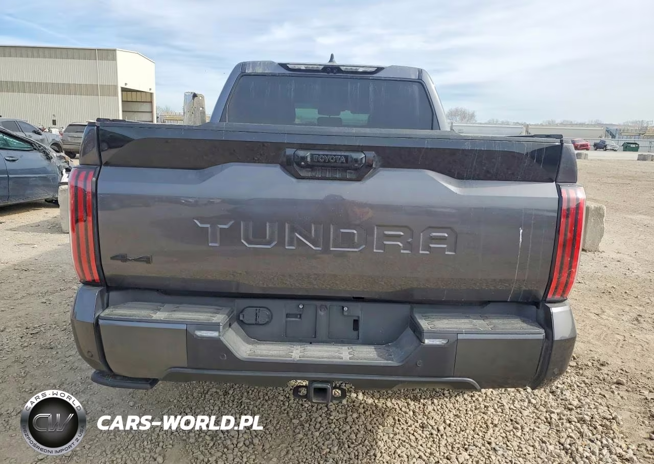2024 Toyota Tundra Crewmax Platinum VIN:5TFNA5DBXRX148253 - 6
