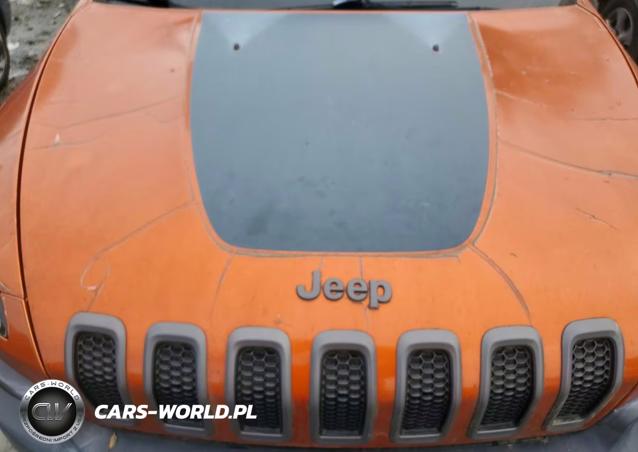 2014 Jeep Cherokee VIN:1C4PJMBS7EW215834 - 12