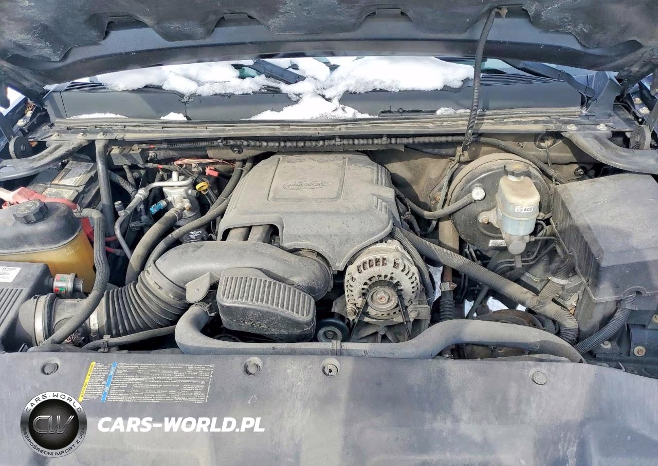 2007 Chevrolet Silverado K1500 VIN:1GCEK19C07Z647202 - 11