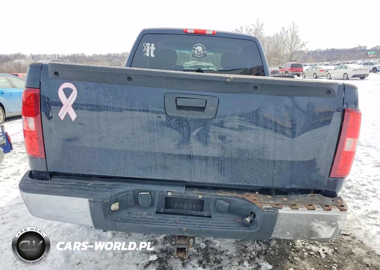 2007 Chevrolet Silverado K1500 VIN:1GCEK19C07Z647202 - 6