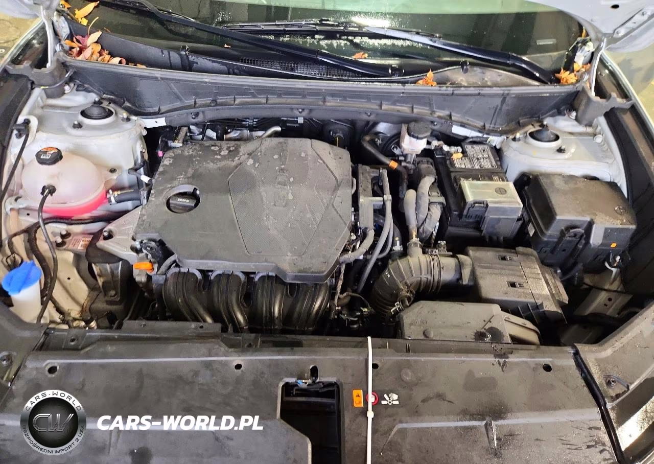 2025 Hyundai Tucson Sel VIN:5NMJB3DE2SH548669 - 12