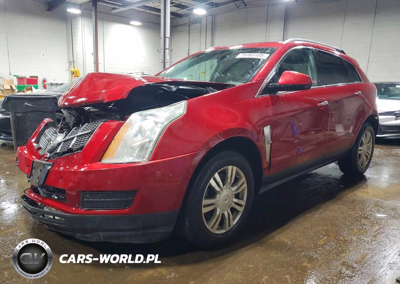 2010 Cadillac Srx Luxury Collection VIN:3GYFNDEY5AS604004 - 1
