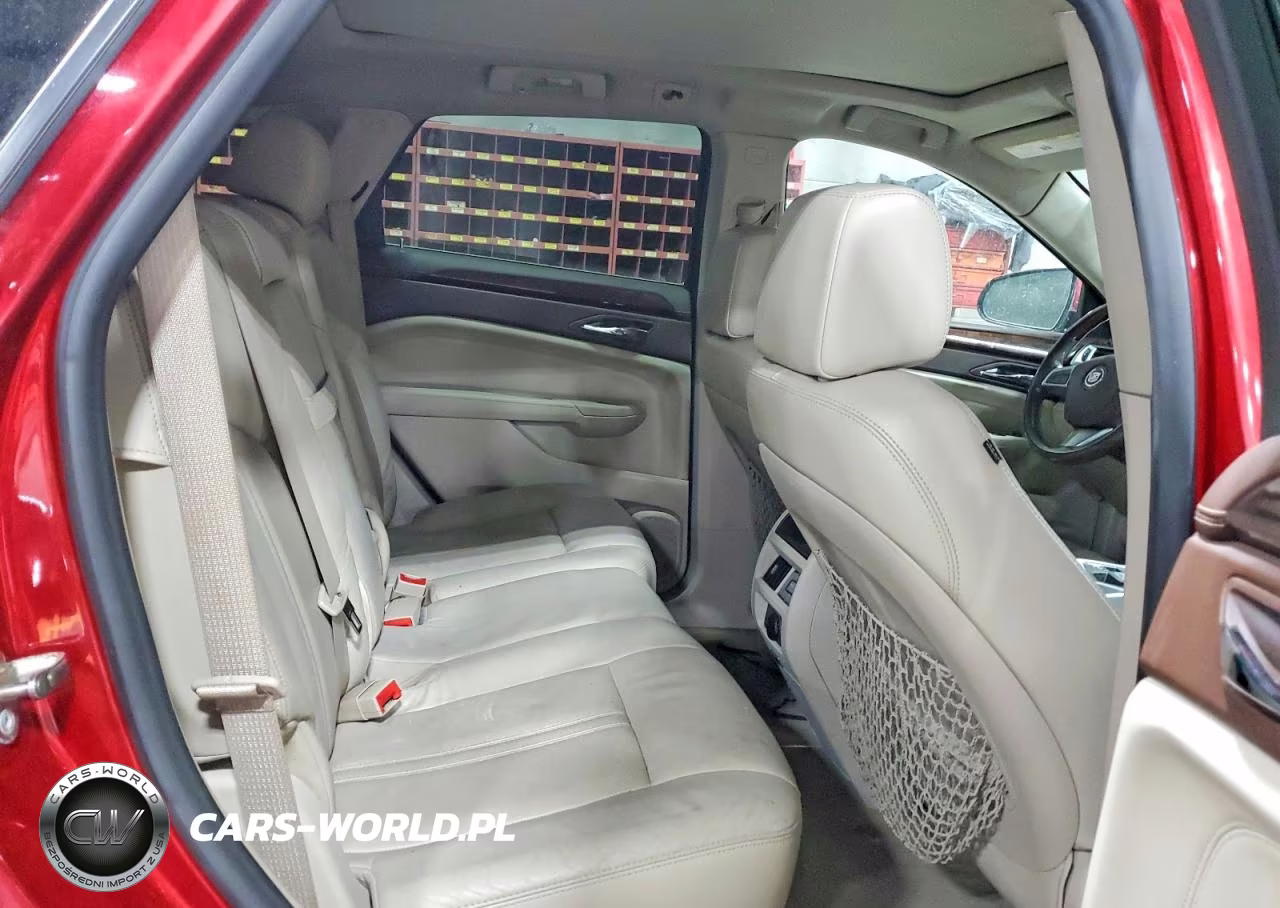 2010 Cadillac Srx Luxury Collection VIN:3GYFNDEY5AS604004 - 10