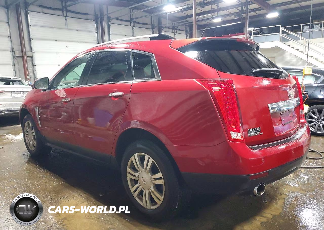 2010 Cadillac Srx Luxury Collection VIN:3GYFNDEY5AS604004 - 2