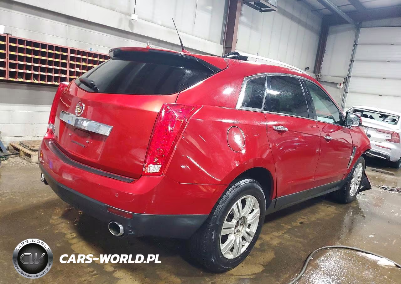2010 Cadillac Srx Luxury Collection VIN:3GYFNDEY5AS604004 - 3