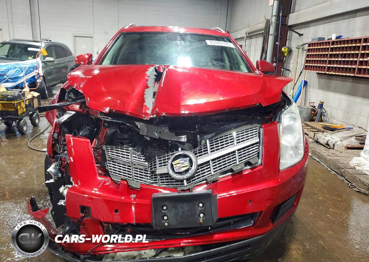 2010 Cadillac Srx Luxury Collection VIN:3GYFNDEY5AS604004 - 5