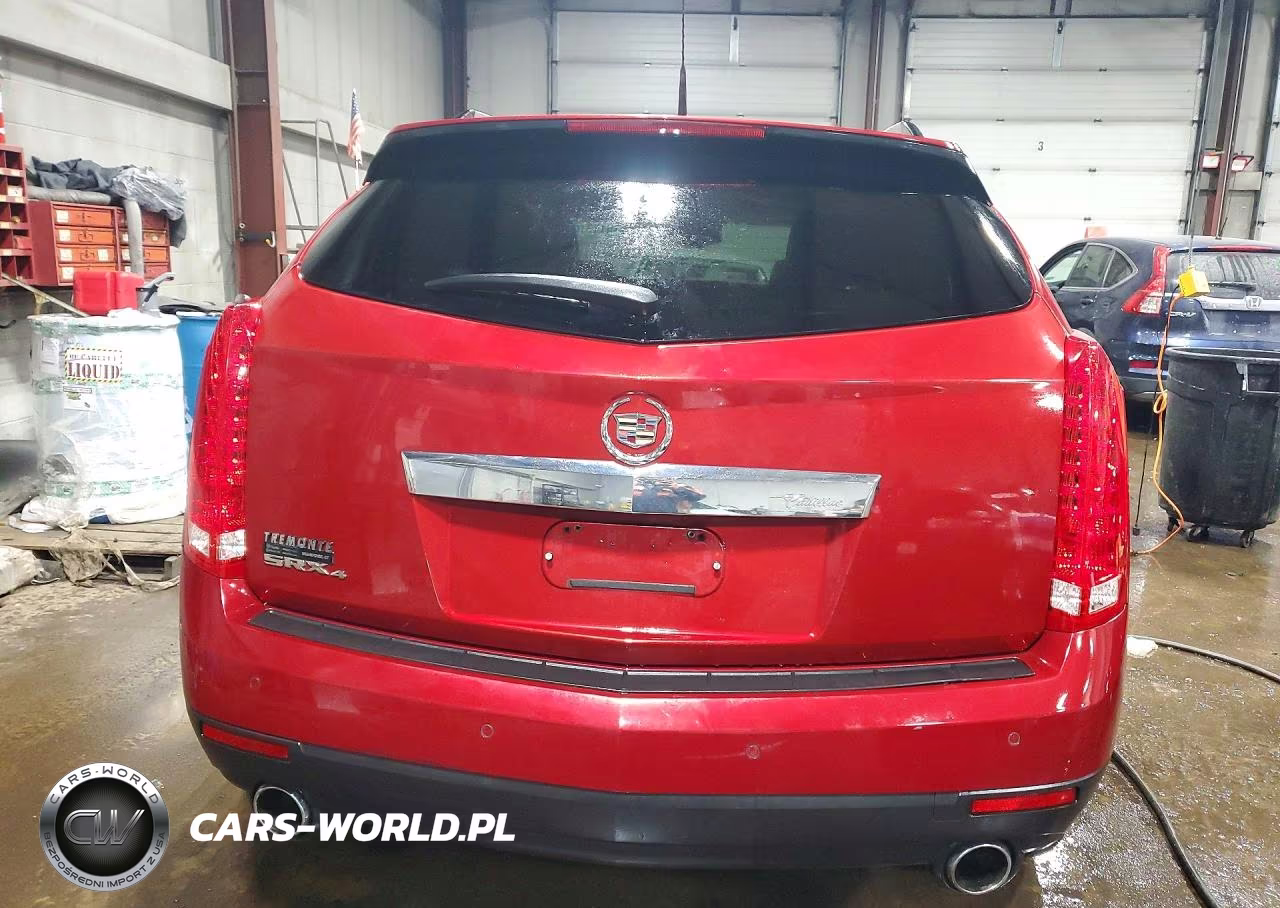 2010 Cadillac Srx Luxury Collection VIN:3GYFNDEY5AS604004 - 6