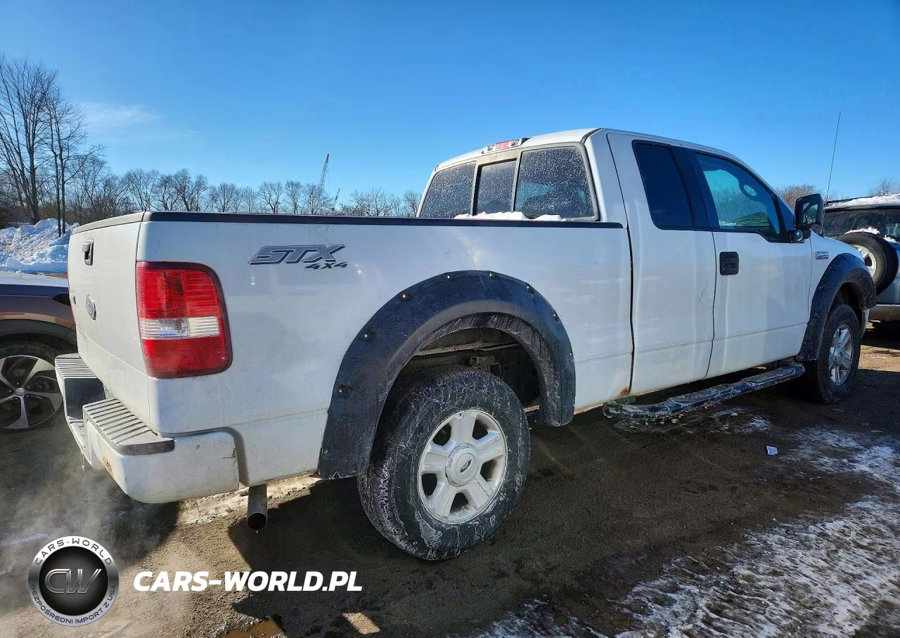 2005 Ford F150 VIN:1FTRX14W05FB19551 - 3