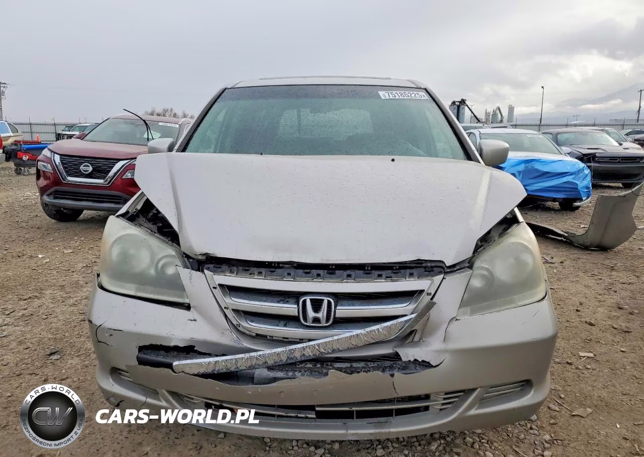 2007 Honda Odyssey Exl VIN:5FNRL38777B409254 - 5