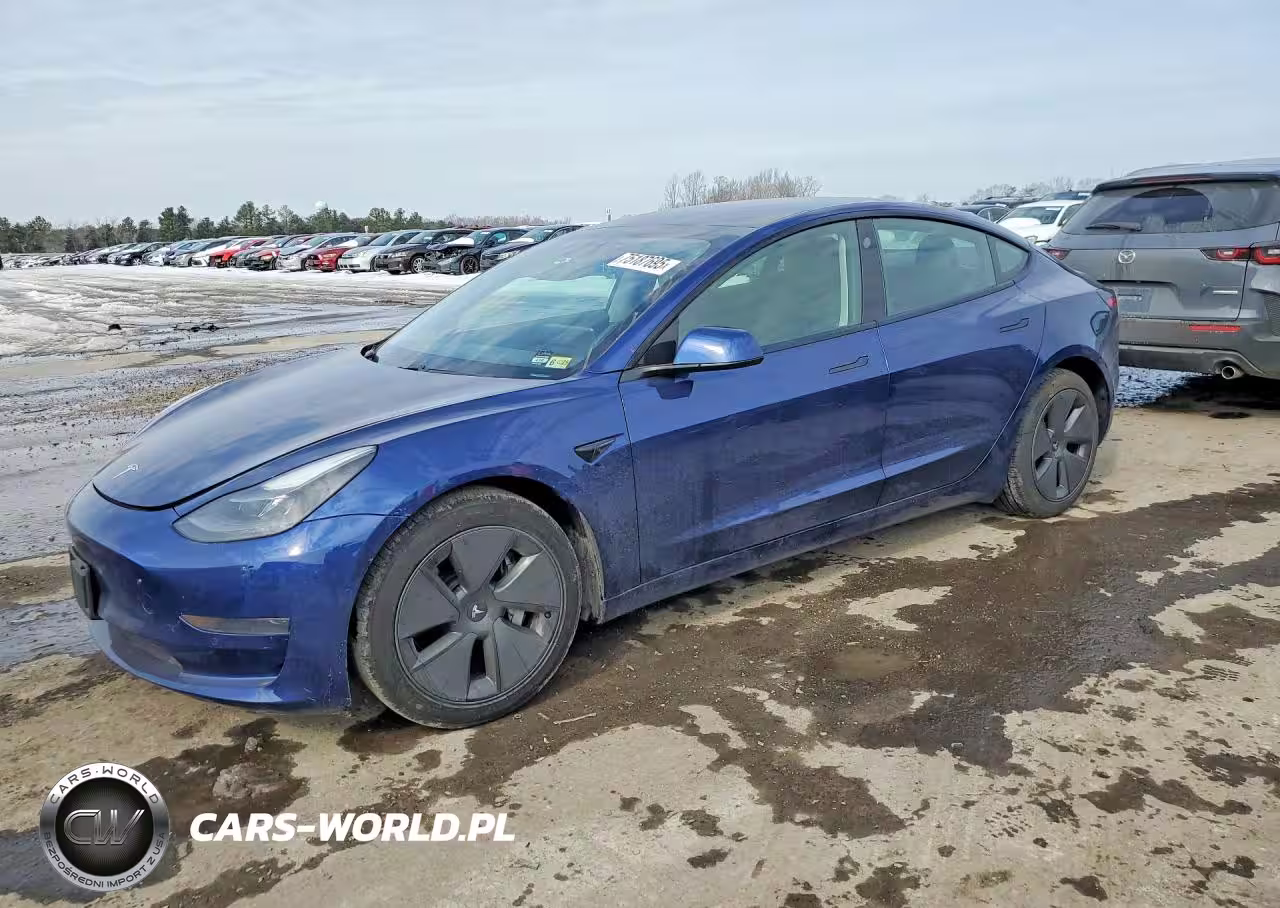 2021 Tesla Model 3