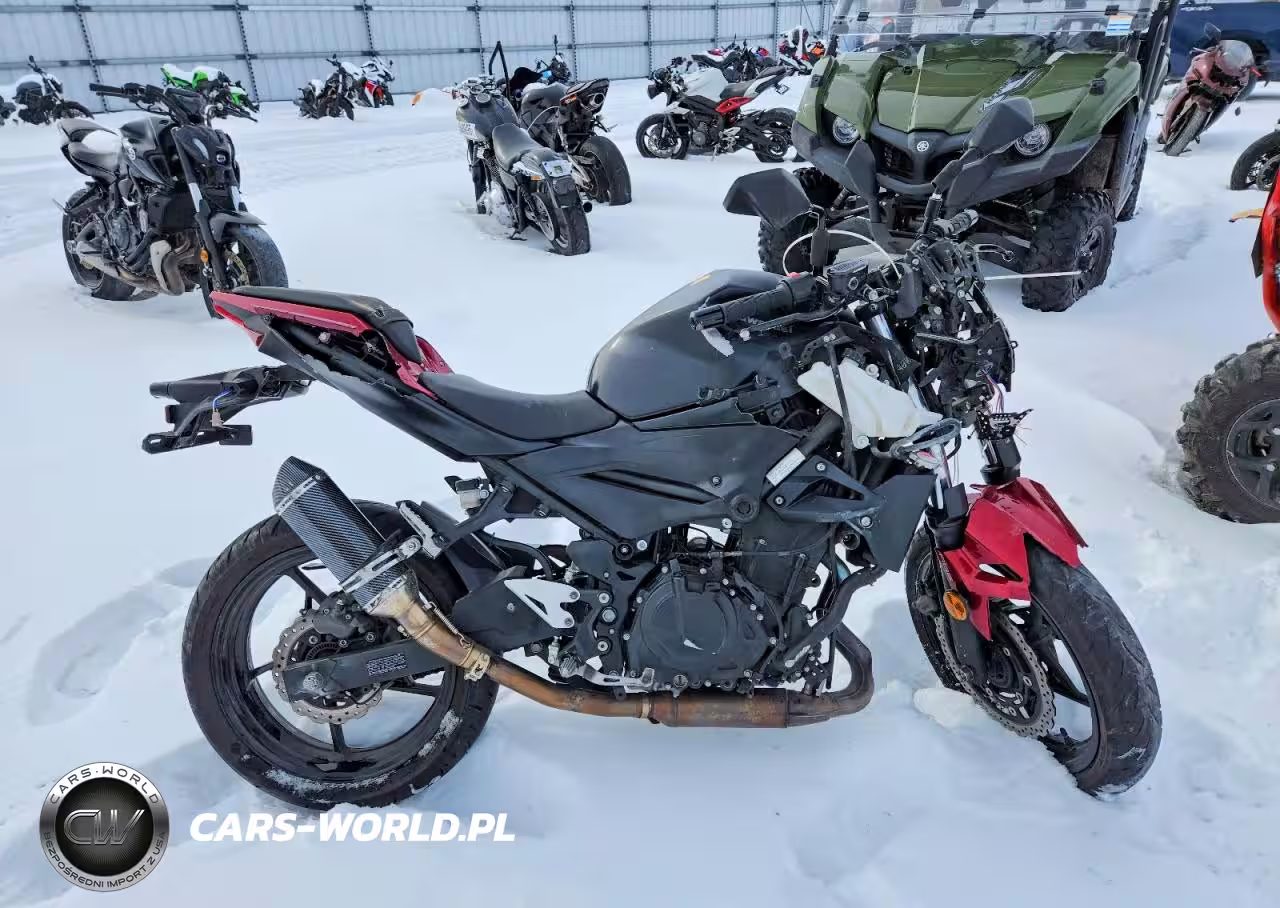 2019 Kawasaki Er400 D