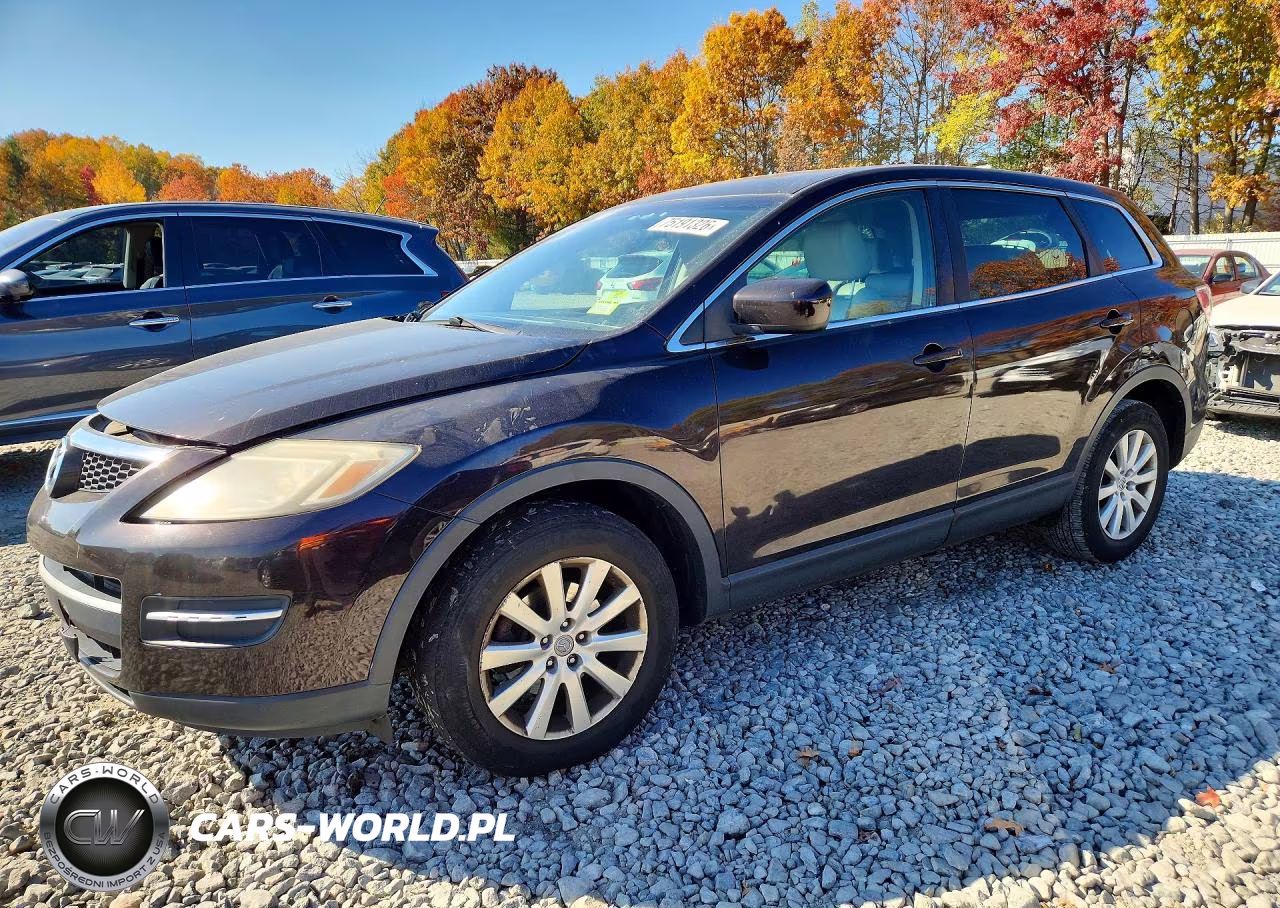 2009 Mazda Cx-9 VIN:JM3TB38V290179235 - 1