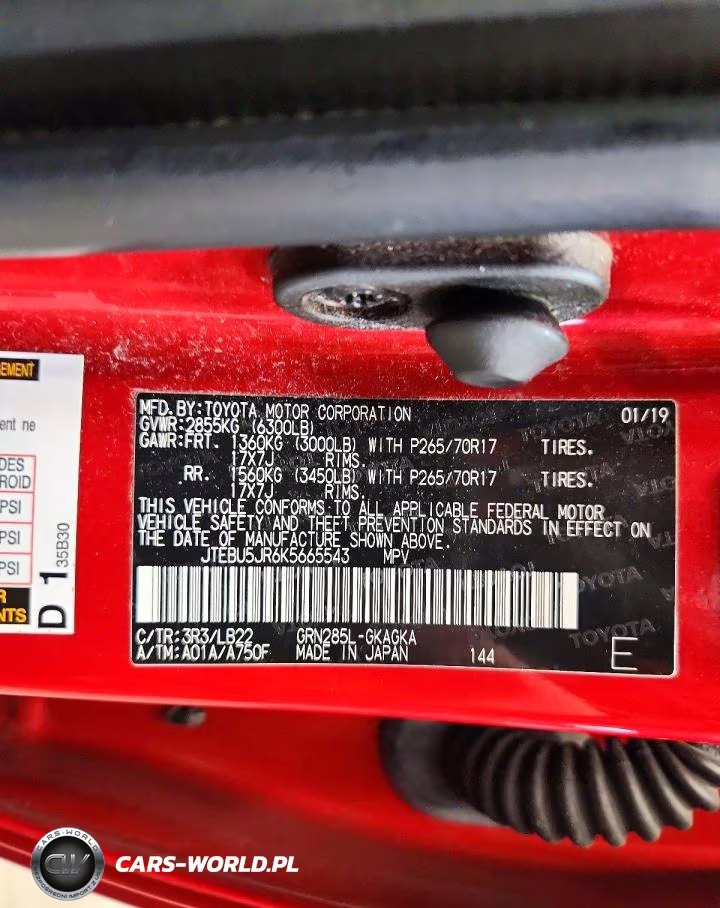 2019 Toyota 4Runner Sr5 Premium VIN:JTEBU5JR6K5665543 - 13