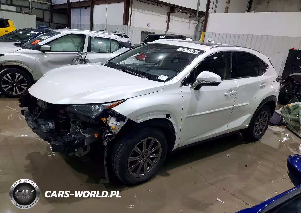 2019 Lexus Nx 300 Base