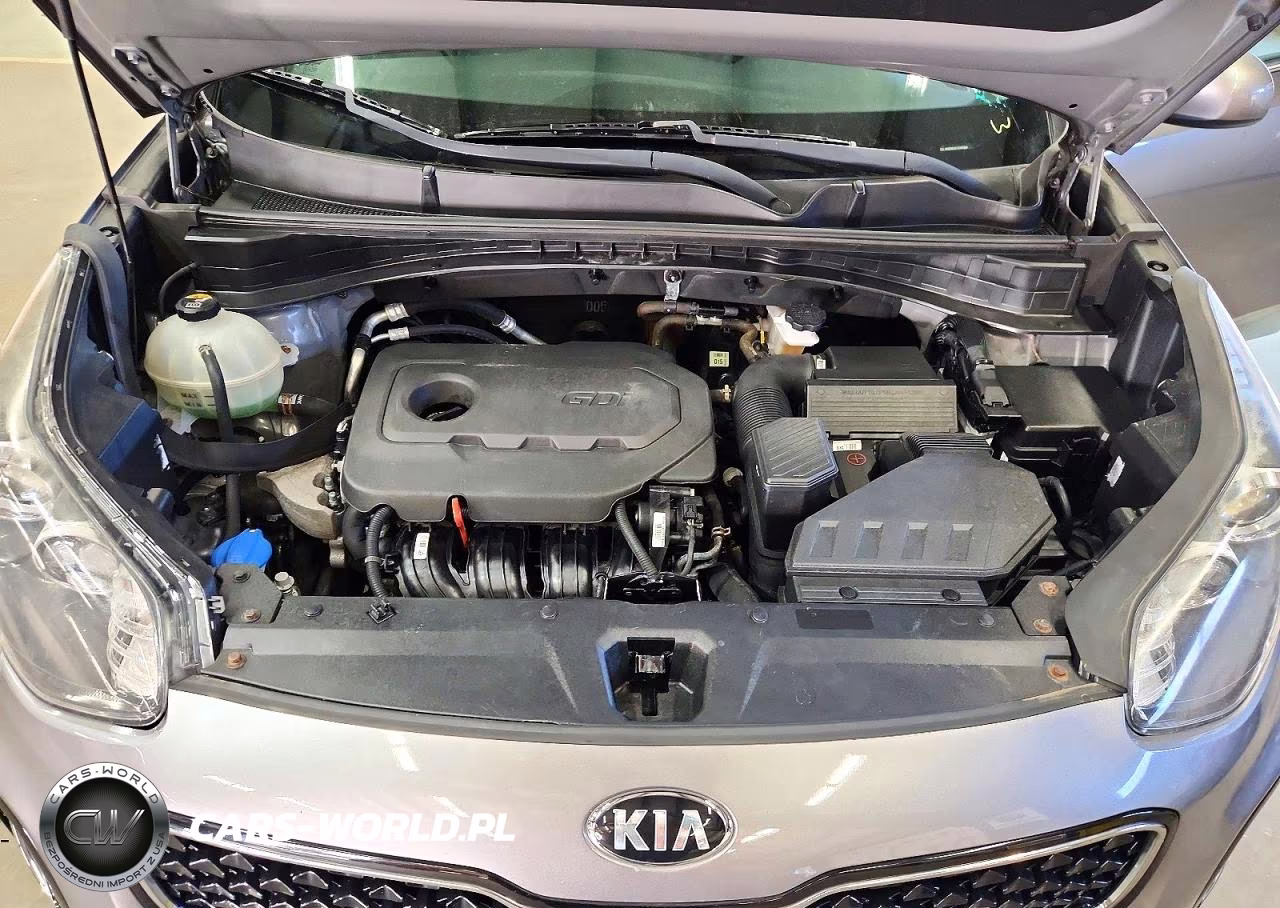 2018 Kia Sportage Lx VIN:KNDPMCAC7J7407884 - 12