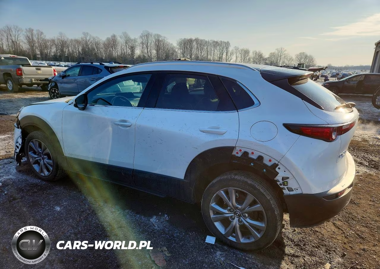 2023 Mazda Cx-30 Premium VIN:3MVDMBDM4PM518875 - 2