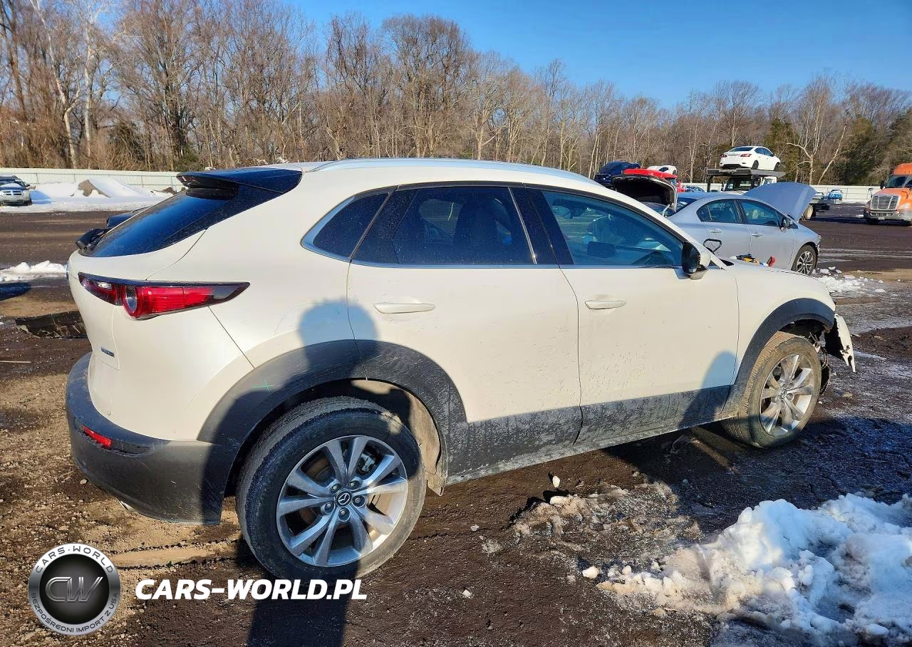 2023 Mazda Cx-30 Premium VIN:3MVDMBDM4PM518875 - 3