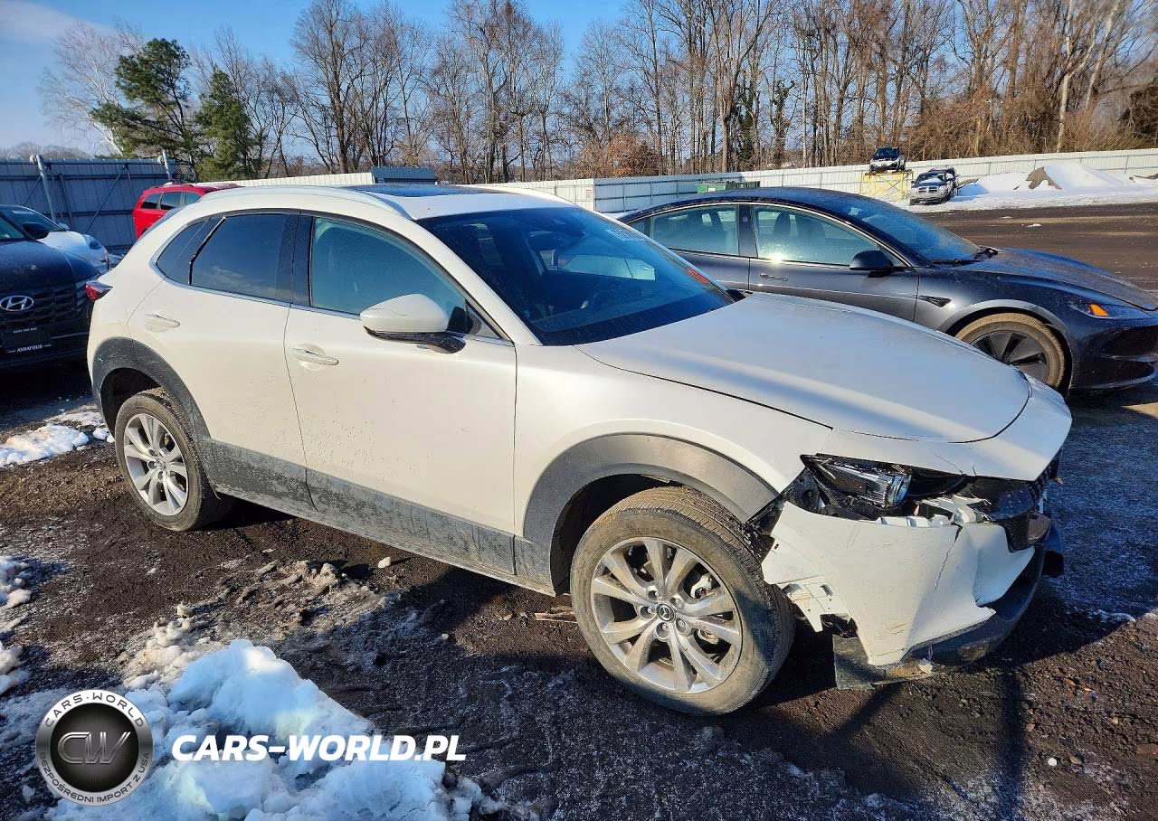 2023 Mazda Cx-30 Premium VIN:3MVDMBDM4PM518875 - 4