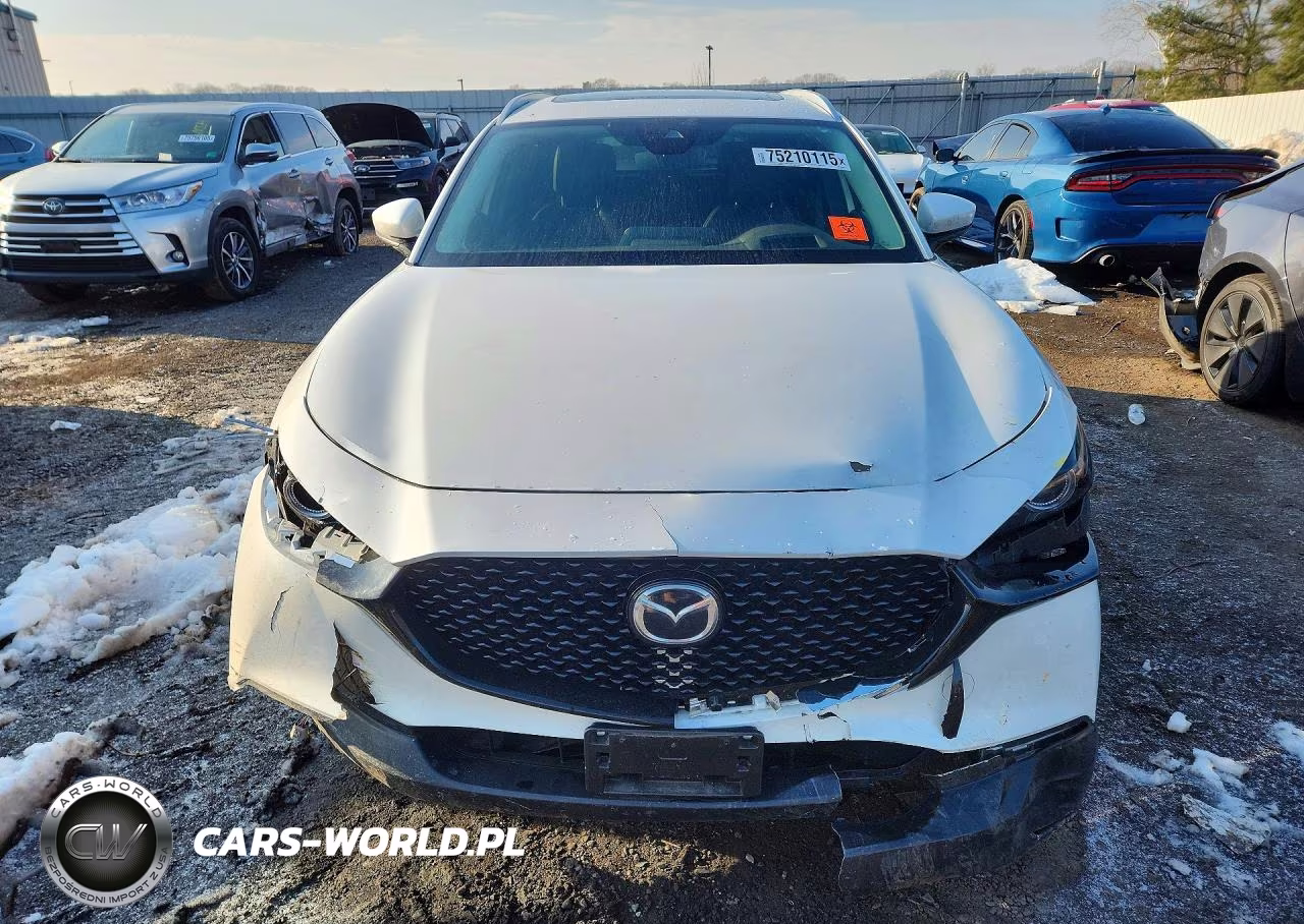 2023 Mazda Cx-30 Premium VIN:3MVDMBDM4PM518875 - 5