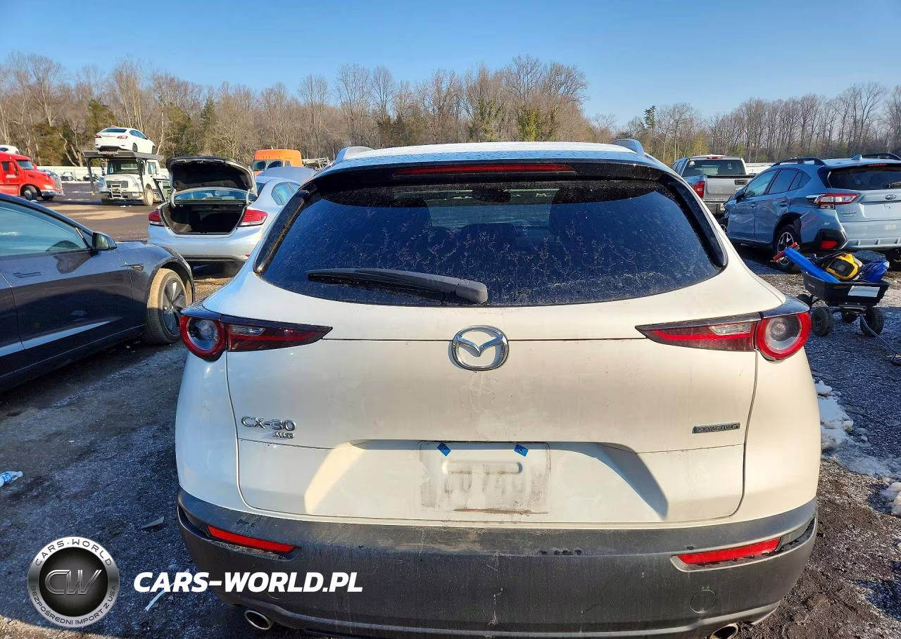 2023 Mazda Cx-30 Premium VIN:3MVDMBDM4PM518875 - 6