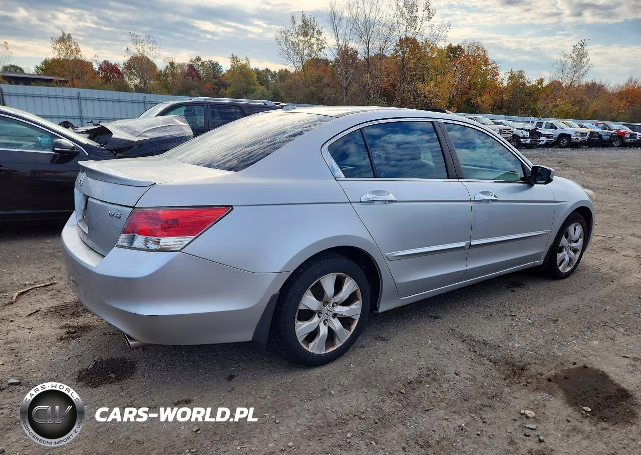 2010 Honda Accord Exl VIN:1HGCP3F82AA009884 - 3