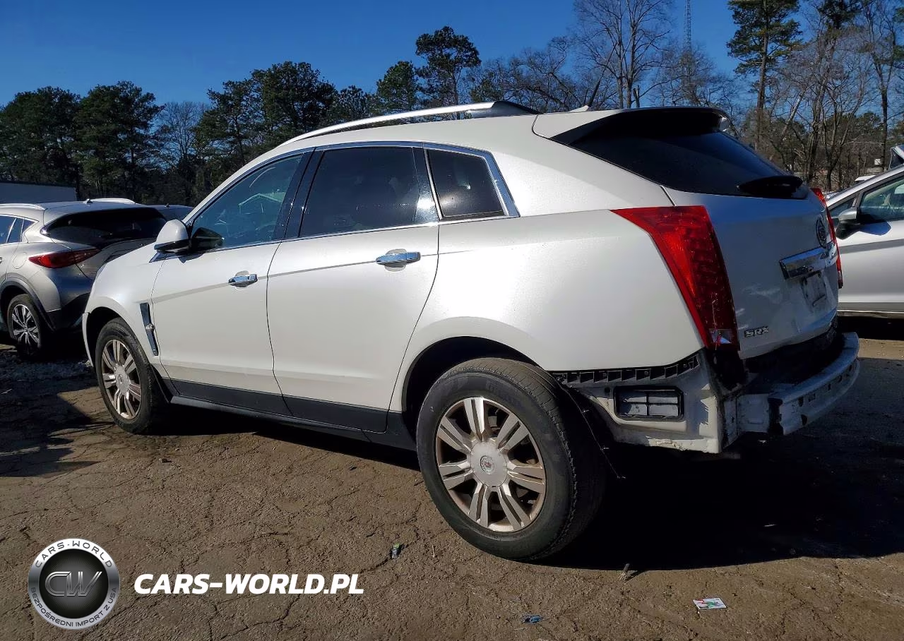 2010 Cadillac Srx Luxury Collection VIN:3GYFNAEY2AS552992 - 2